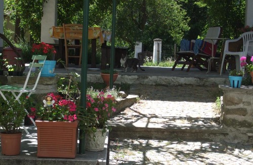 Mioglia Apartment | Casa di Alfredo Apartment - CITR9039