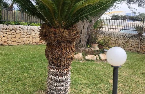 Marina di Ragusa Apartment | Casa Giuffrida