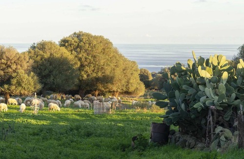 Galtelli Villa | Casa in Pietra in Dorgali