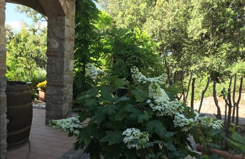 Villa A Sesta House | Casa Minuccia