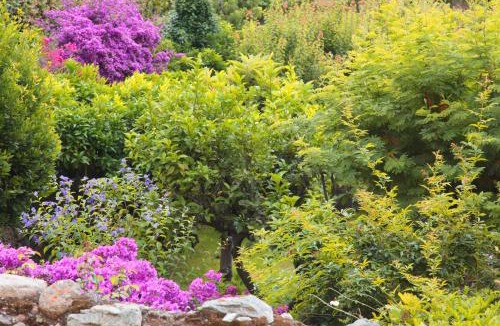 Tovo San Giacomo Bed & Breakfast | Casa Nobile