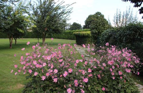 Madonna dell'Olmo Bed & Breakfast | Casa Torre Allera