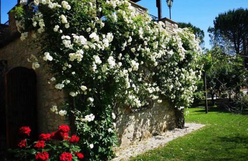 San Venanzo House | Casale dei Puppi, una bellissima casa rustica