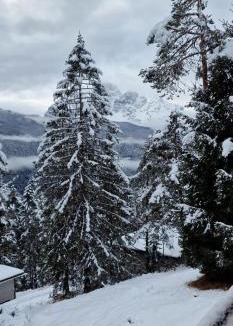 Borca di Cadore Villa | Chalet Yvonne