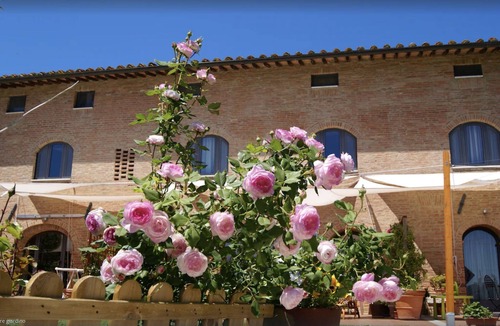 San Rocco a Pilli Apartment | Chic Tuscan apartment pool spectacular view modern comfort wifi air conditioning