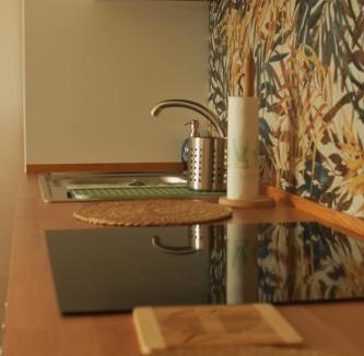 Pallanza Apartment | Ciceri Properties Dei Paritgiani