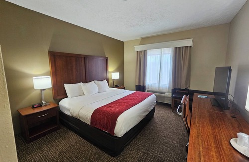 Jackson Hotel | Comfort Inn Jackson I-40
