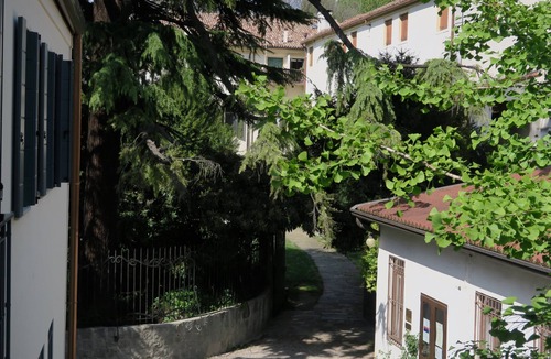 Historic Centre House | Conti house, a cultural experience in the footsteps of Shakespeare