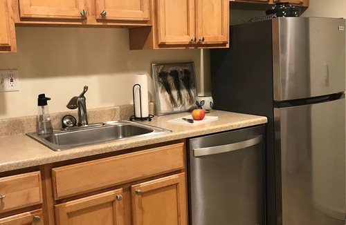 Stanton Park Apartment | Convenient, comfortable Capitol Hill 1 BR apt. close to sights, dining and Metro