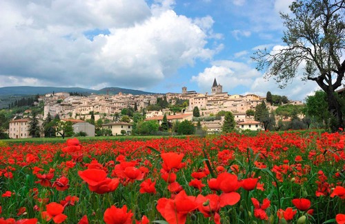 Spello Apartment | Coral Apt City Center, Spello, Italy