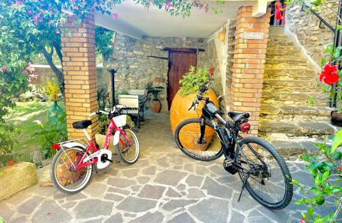 Ascea House | Corte degli Ulivi