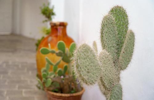 Calimera House | Corte delle rondini