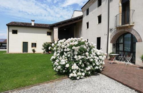 Barbarano Vicentino Apartment | Corte Monticello