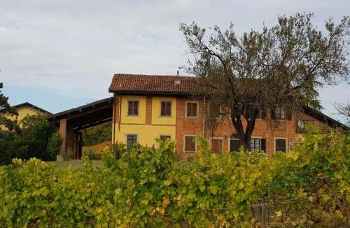 Quargnento Apartment | Country House Mimosa - Relax in jacuzzi tra i vigneti