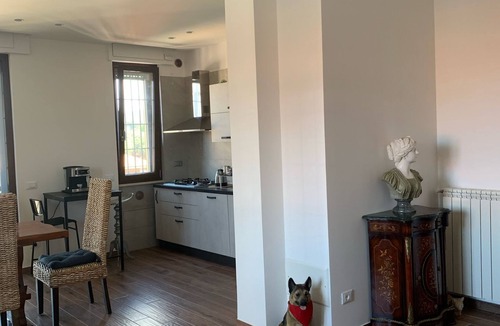 Marino Apartment | Cozy apartment 2 steps from Rome finely renovated and equipped