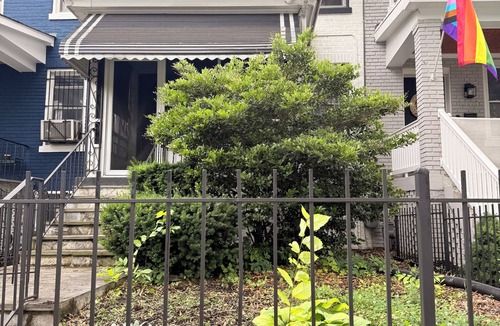 Trinidad House | Cozy Duplex Appartment Walk to Union Market