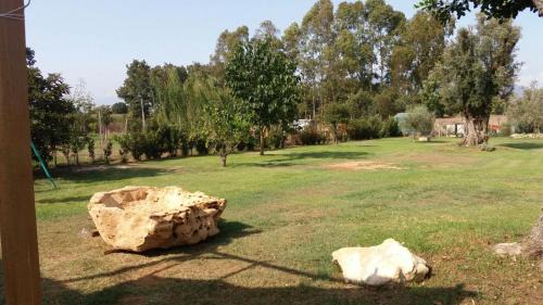 Sabaudia Bed & Breakfast | Crisam