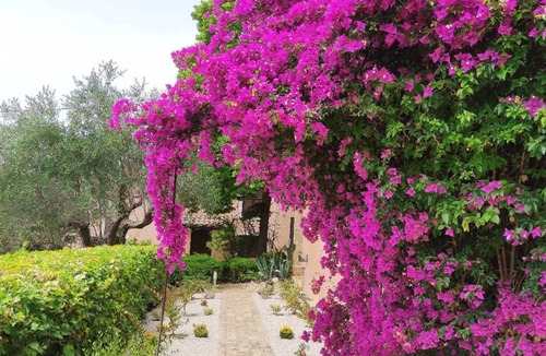 Torrevecchia Teatina House | Dependance Dog Friendly In Villa Con Piscina e Area Cani
