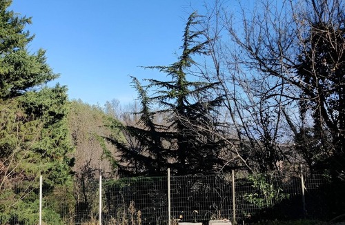 San Sebastiano da Po House | Dolce Verde Casa - traditional and completely renovated Piemontese house