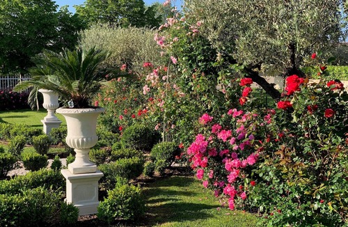 Montioni Apartment | DREAM HOLIDAY ON LAKE GARDA