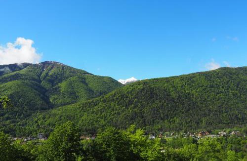 Craveggia Ski Chalet | E-bike e tennis gratuiti -2 min Piana Vigezzo ski-