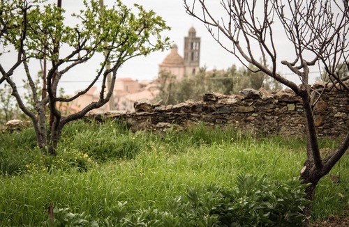 Belmonte Calabro House | "Ex Convento | casa con orto" is in a beautiful Ex Convent of the 17th century.