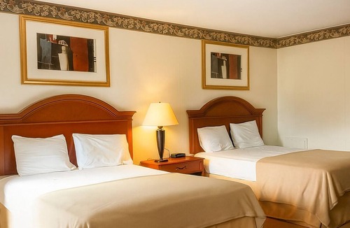 Campbelltown Hotel | Excellent Choice! 4 Budget-Friendly Units Near Zoo America, FREE Breakfast!
