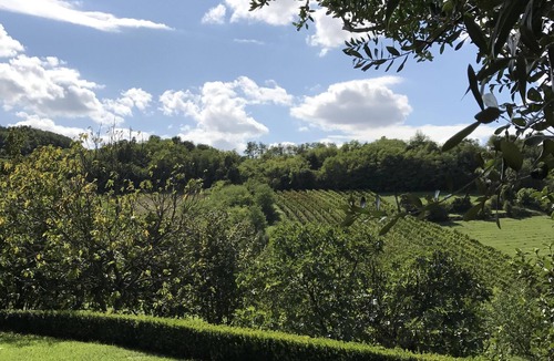 Teolo Villa | Exclusive Venice and Veneto Villa with Hilltop Panoramic View