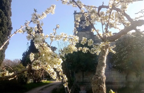 The Trulli of Alberobello Other | Farmhouse with garden a few minutes from Alberobello