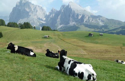 Selva di Val Gardena Hotel | Garni La Majon