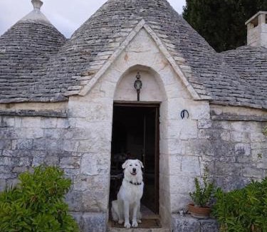 Alcanterini House | Gasphouse