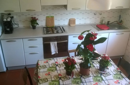 Lugo Apartment | GEORGEOUS & SUNNY RENOVATED + AC APARTMENT 4 SLEEPINGS STORIC/CENTRAL CITY LUGO