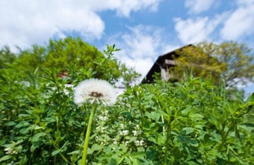 Barbiano House | Gostnerhof Barbian