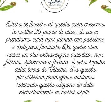 Velletri Cabin | Greta's Villa