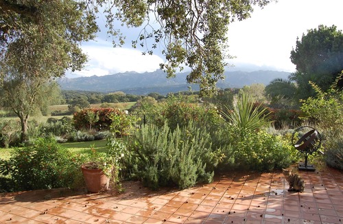 Luras Apartment | Guest House Muscazega - charm in Antico Stazzu