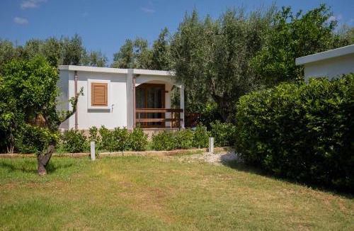 Mattinata House | Holiday Apartment orchidea with swimming pool and private beach -3