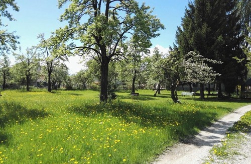 Romeno House | holiday in Val di Non : trekking and relaxing on the mountainn