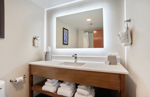 College Park Hotel | Holiday Inn Express Mobile I-65 by IHG