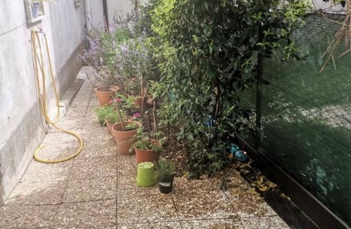 Policastro Bussentino Apartment | 🏡 Holiday Apartment in Policastro Bussentino