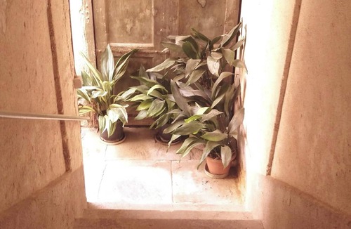 Ogliastro Cilento Apartment | Homerez - Apartment in Finocchito