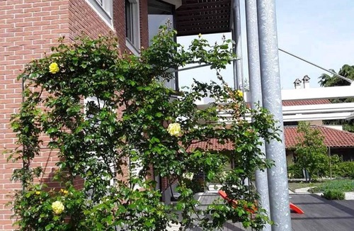 Savigliano Apartment | Homerez - Charming Apartment in Savigliano