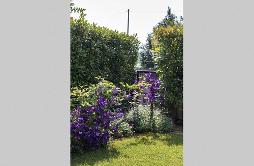 Sernaglia della Battaglia Apartment | House in the Brand (TV) M0260800002nCIN: IT026080C2BXOU8HBT