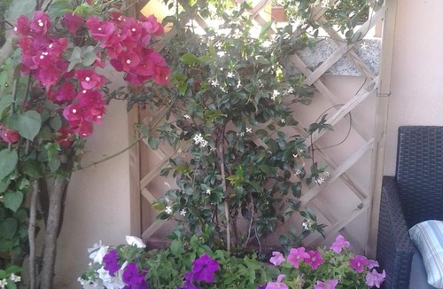 Golfo Aranci Apartment | house/villa - GOLFO ARANCI