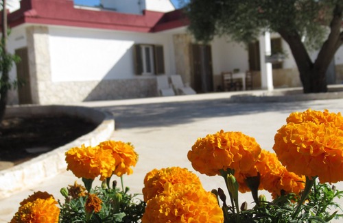 Monopoli House | House with veranda, square and parking space on the hills of Monopoli 8 km from the sea