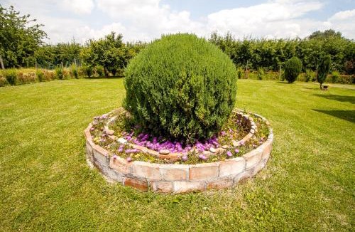 Cona Bed & Breakfast | I Due Orfici