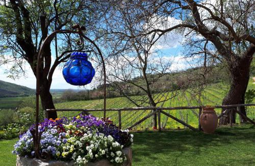 Baone Bed & Breakfast | I grilli b&b