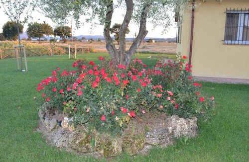 Bovara Apartment | Il casale di famiglia