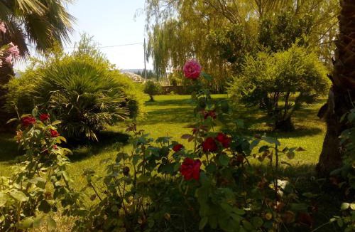 Olmedo Apartment | Il Giardino delle Rose A