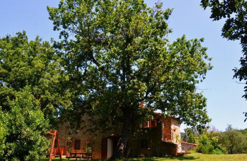 Massa Marittima Bed & Breakfast | Il Venaio