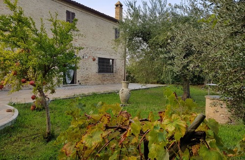 Spinetoli Villa | In the Piceno countryside: Class and Hospitality